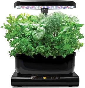 AeroGarden Kit
