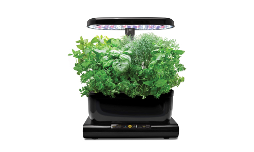 Hidroponía casera kit