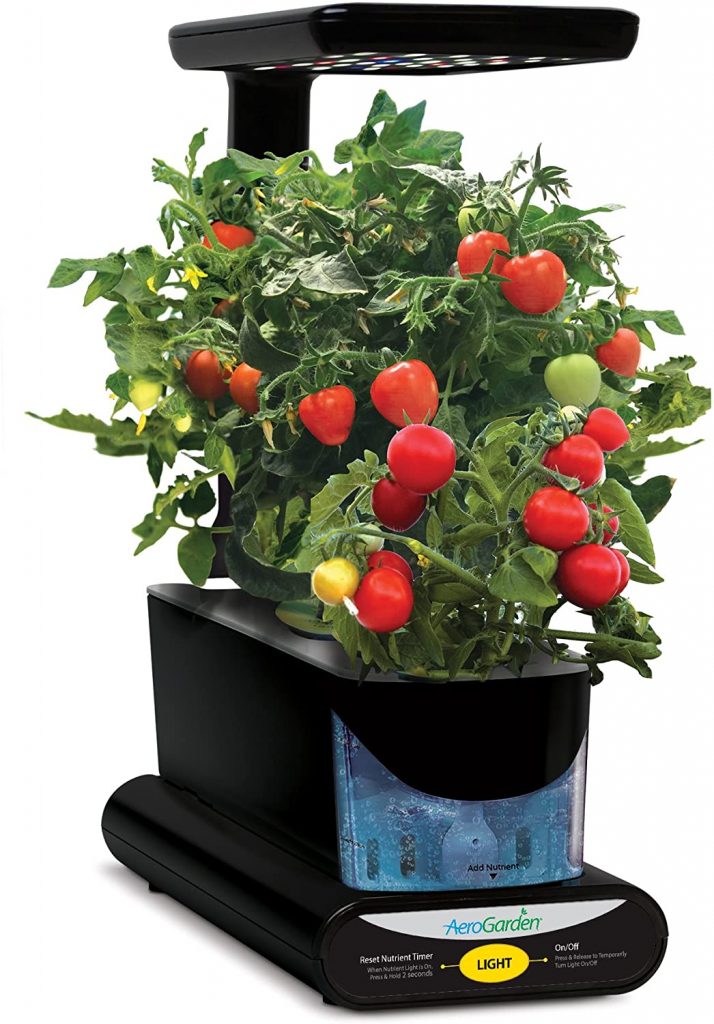 AeroGarden Sprout Cultivo hidropónico