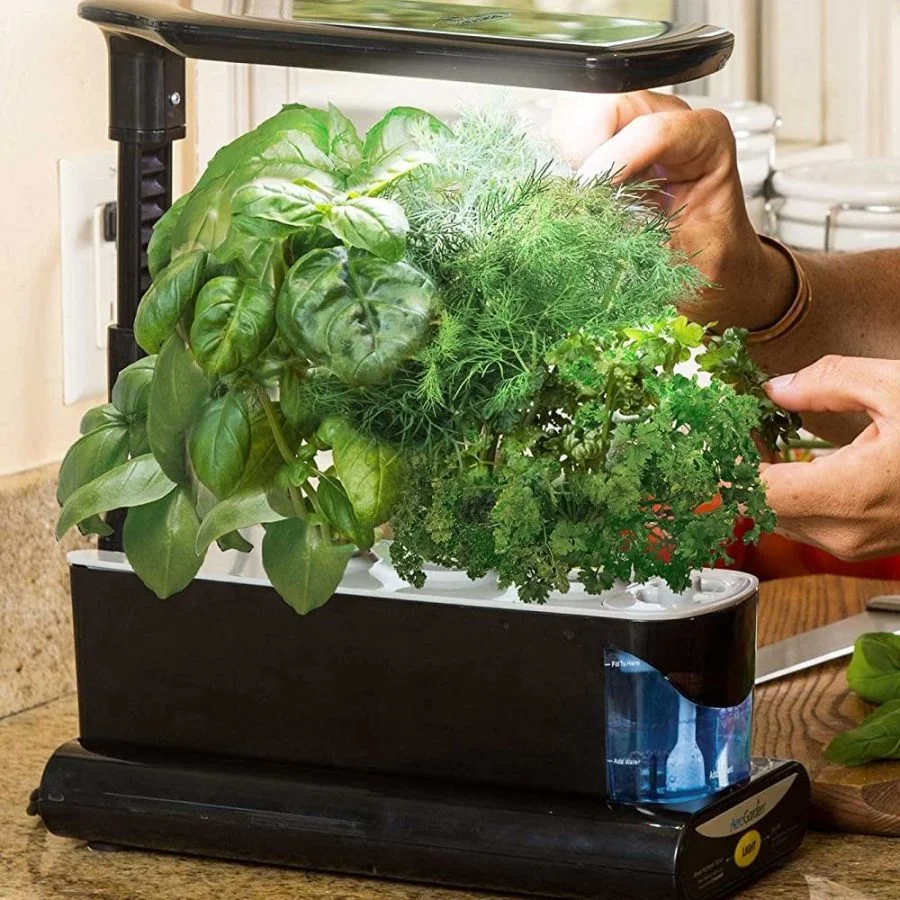 AeroGarden Sprout mini kit