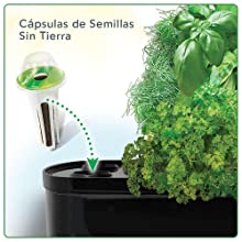 Cápsulas plantación hidropónica