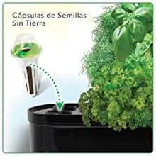 Cápsulas plantación hidropónica