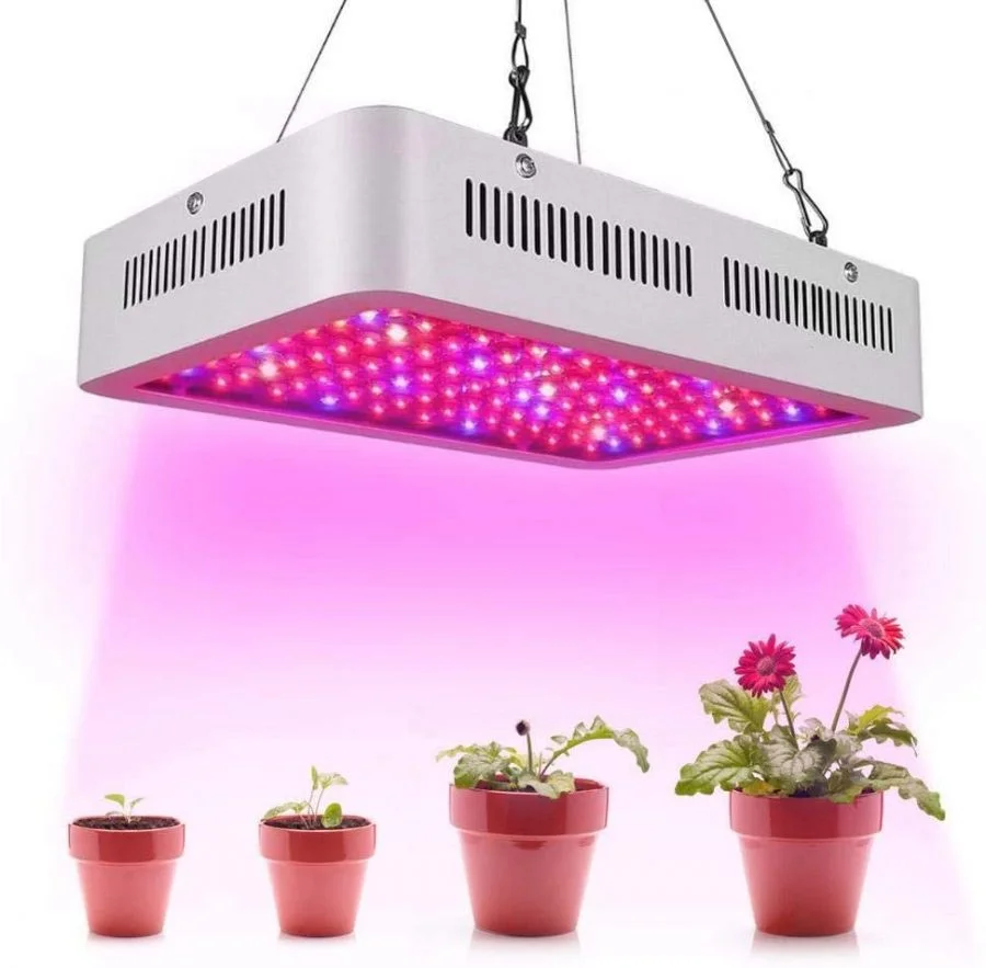 Tipos de luces para cultivo indoor