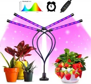lampara led para indoor