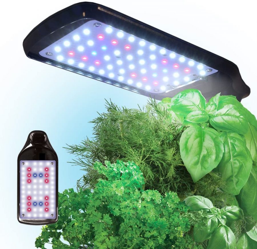 Leds de AeroGarden Sprout hidroponía