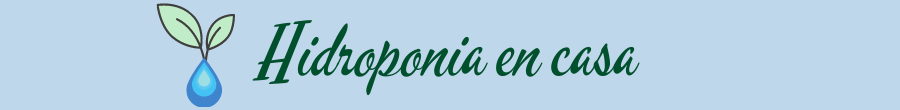 hidroponiaencasa.net